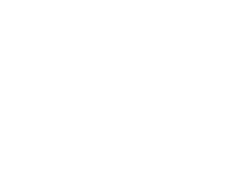 Street Feeders of KL